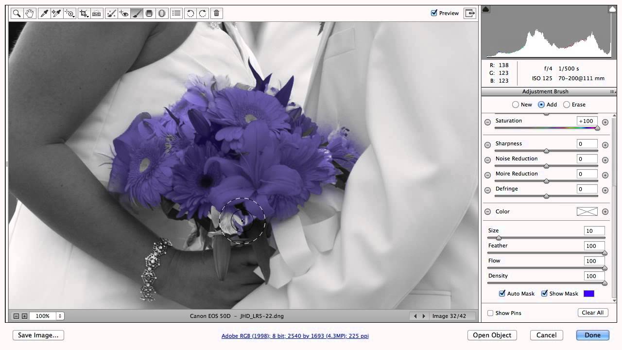 Auto Mask Is Smarter Than You Think: Selective Color Restoration in Camera Raw