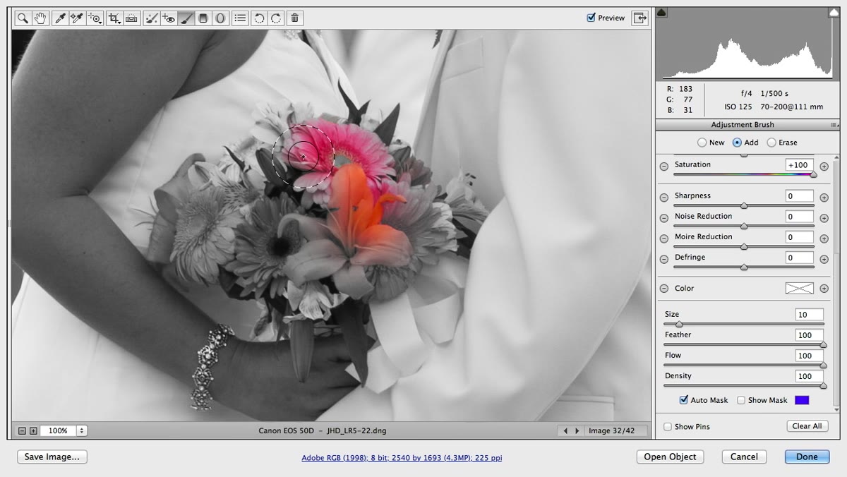 Brush cursor positioned deep inside flower, away from edges