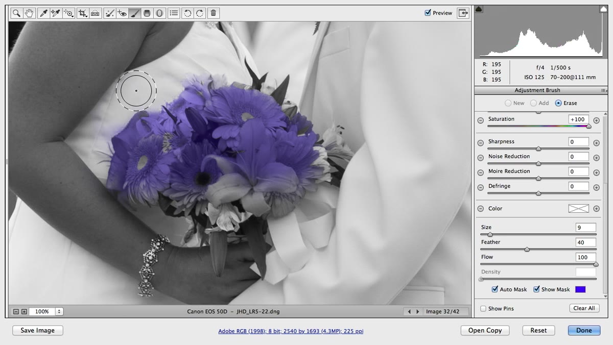 Eraser cursor cleaning spill near flower petal edge