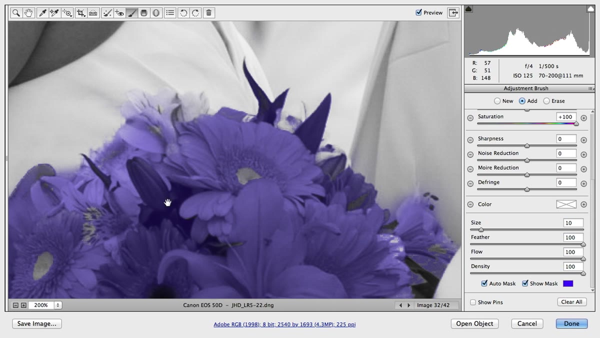 Auto Mask checkbox being unchecked for interior detail work