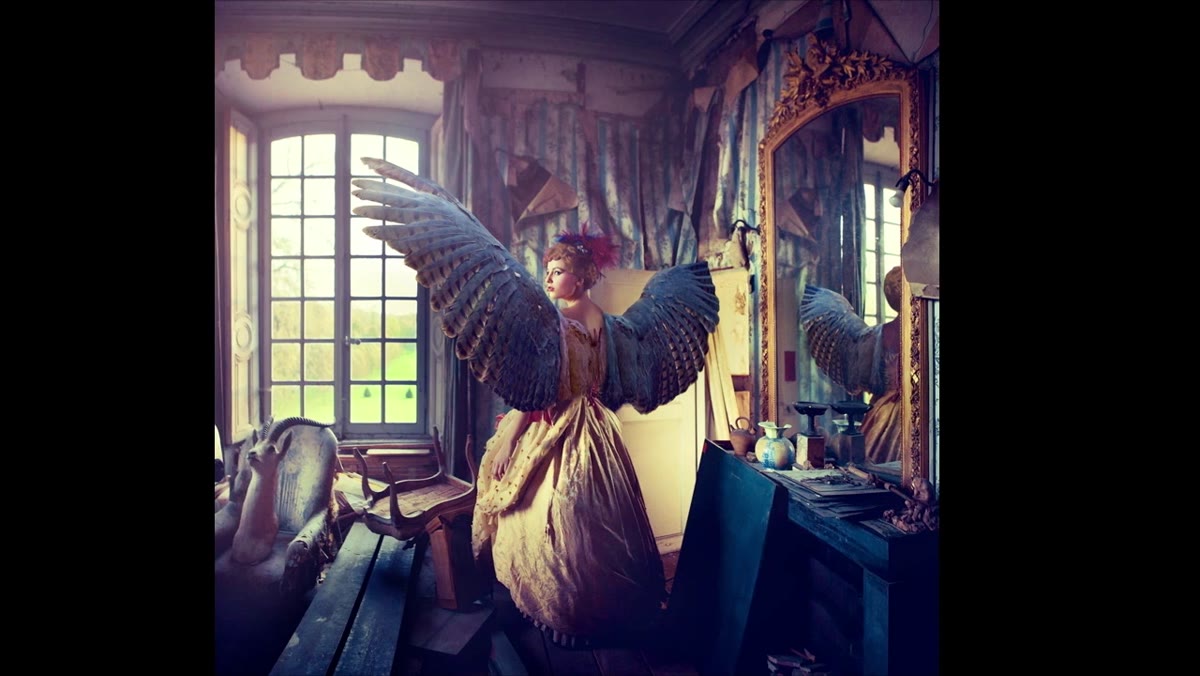 Blue and yellow color grading applied across the bird wings composite