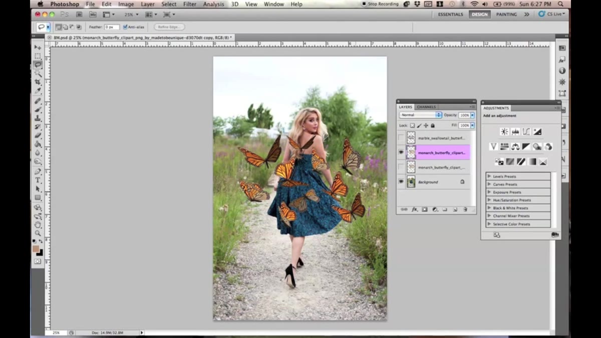 Lasso tool tracing around a single butterfly in the stock sheet