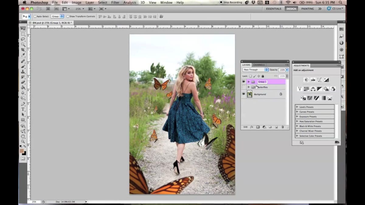 Multiple butterfly layers grouped into a labeled folder in the Layers panel