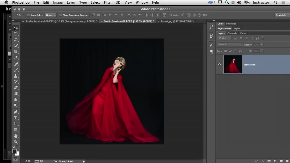 Forest image being dragged and dropped onto the working document