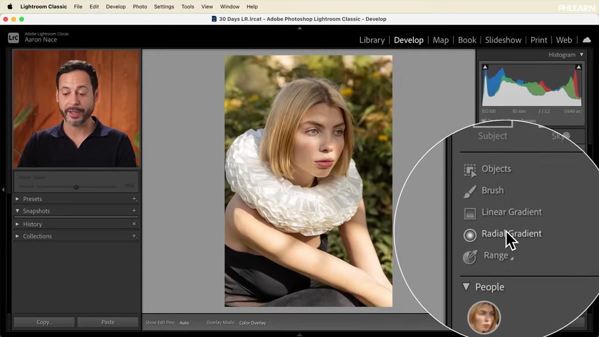 Brush, Linear Gradient, Radial Gradient options in masking menu