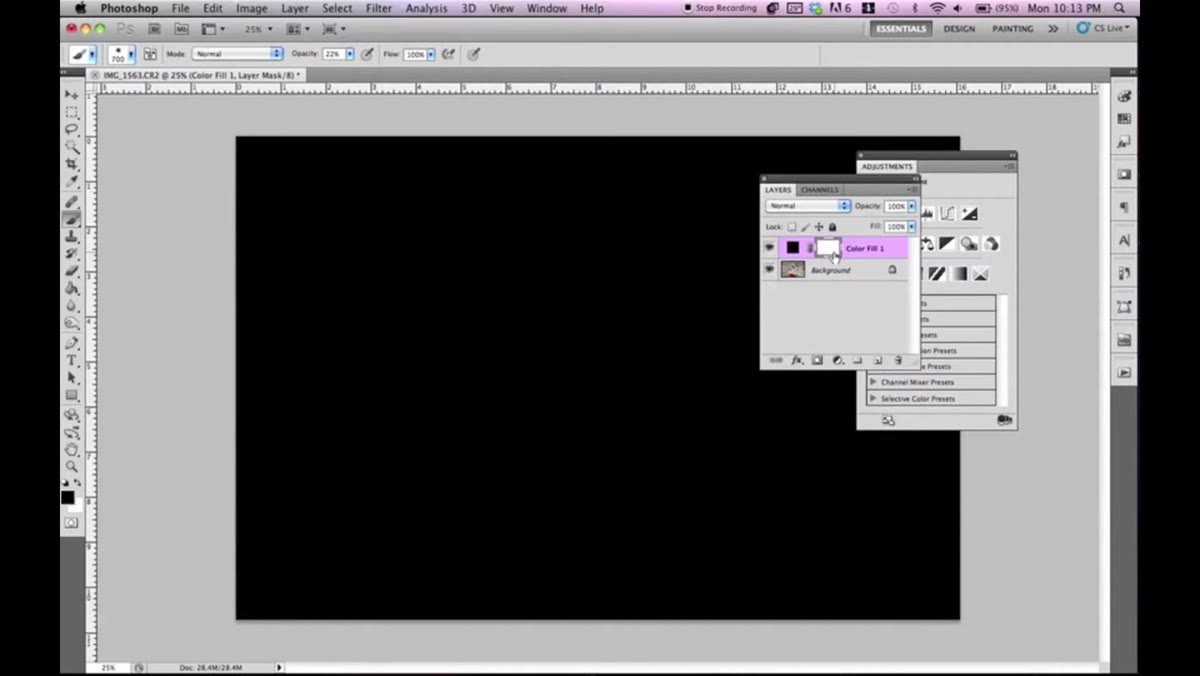 Layer mask thumbnail highlighted in Layers panel