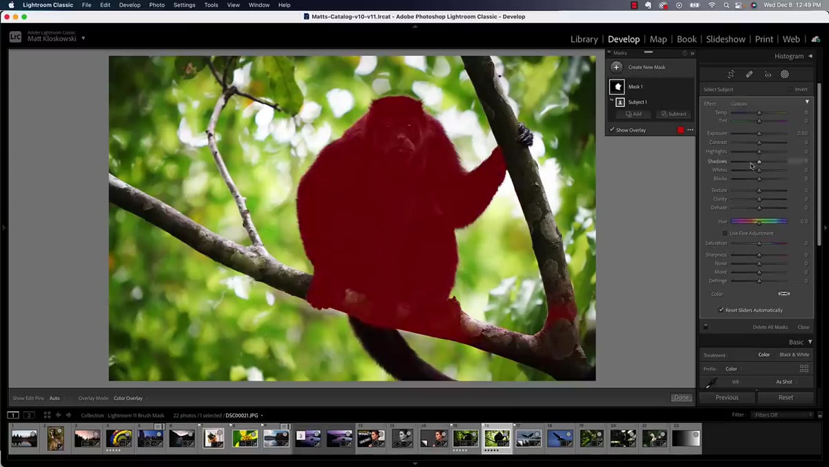 Select Subject mask applied to animal subject