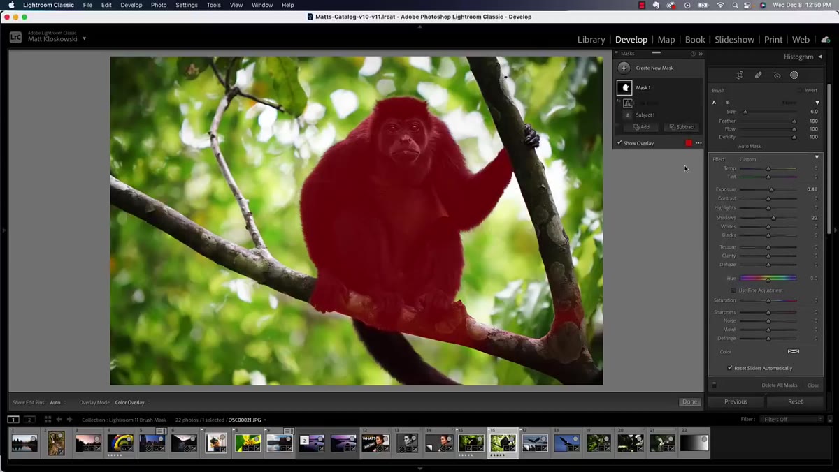 Subtract brush painting out unwanted mask areas