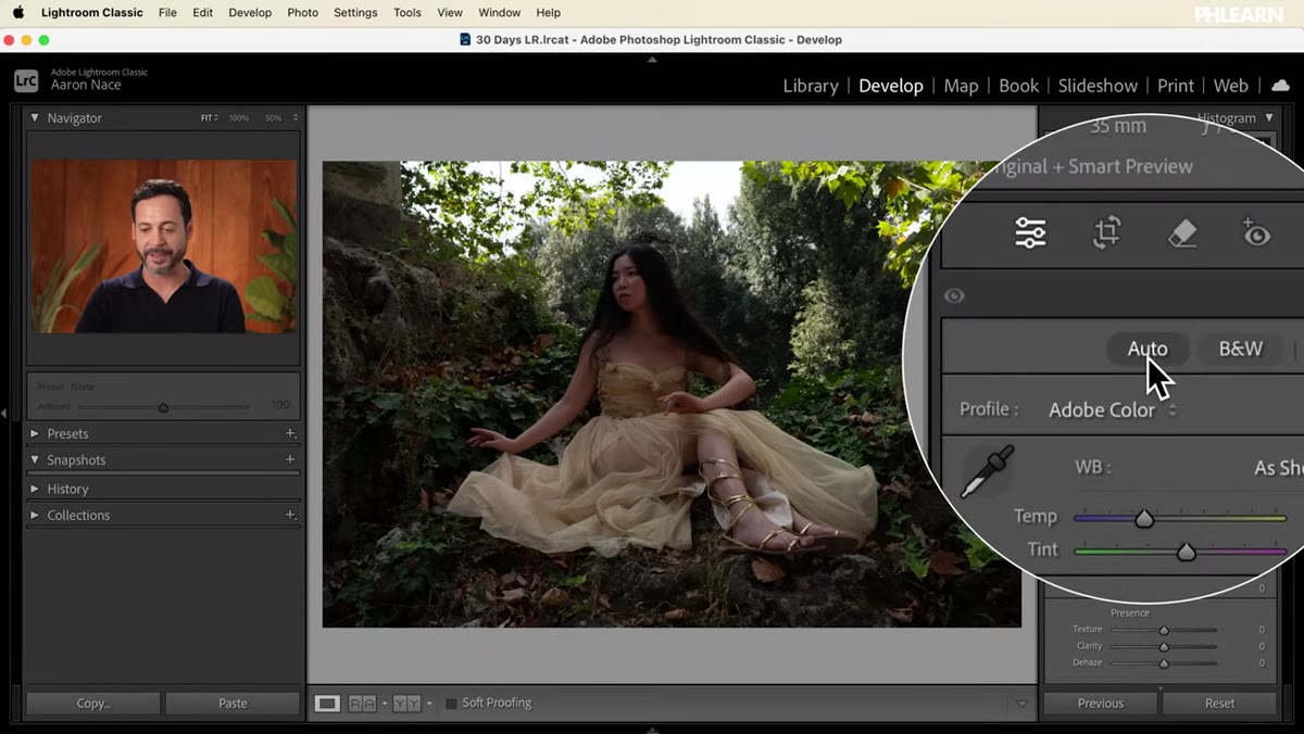 Auto button clicked in Basic panel, image brightening