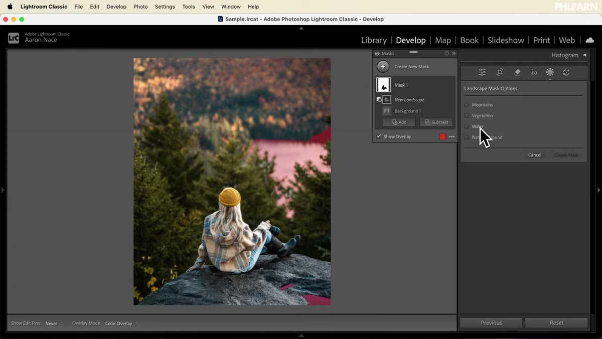 Selective color enhancement applied to masked subject area
