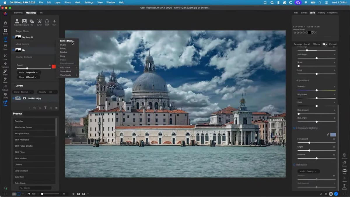 Brush tool refining mask along complex edge detail