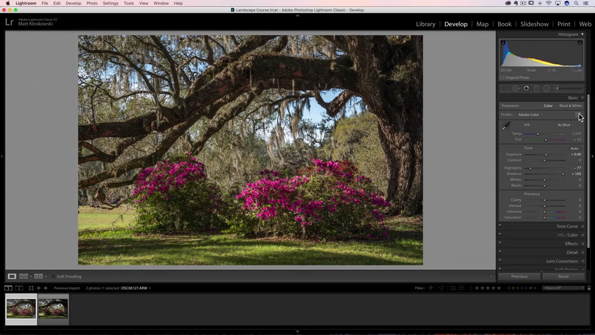 Lightroom profile browser showing camera matching profile selected