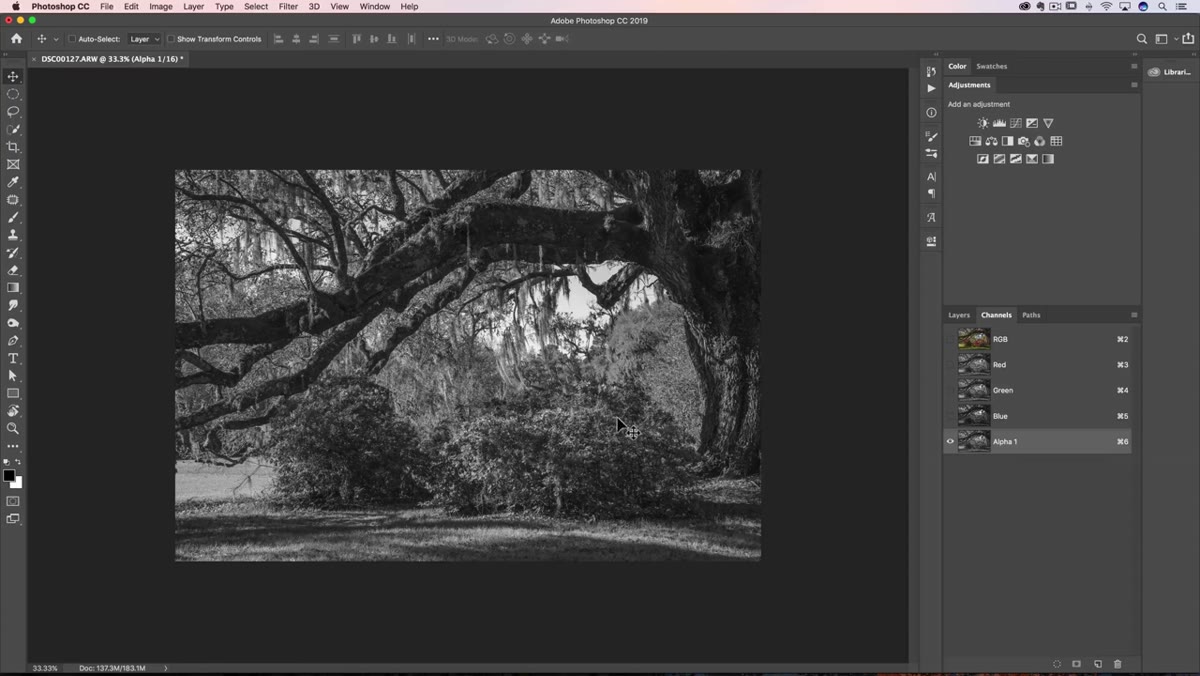 Selection active on canvas ready for adjustment layer