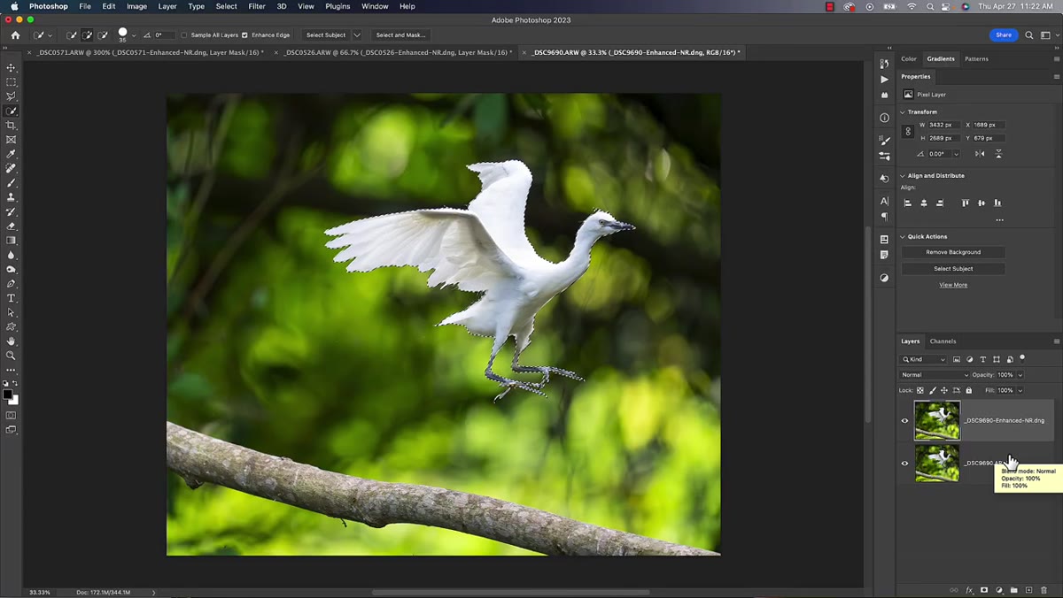 Layer mask added to denoised layer, subject masked out
