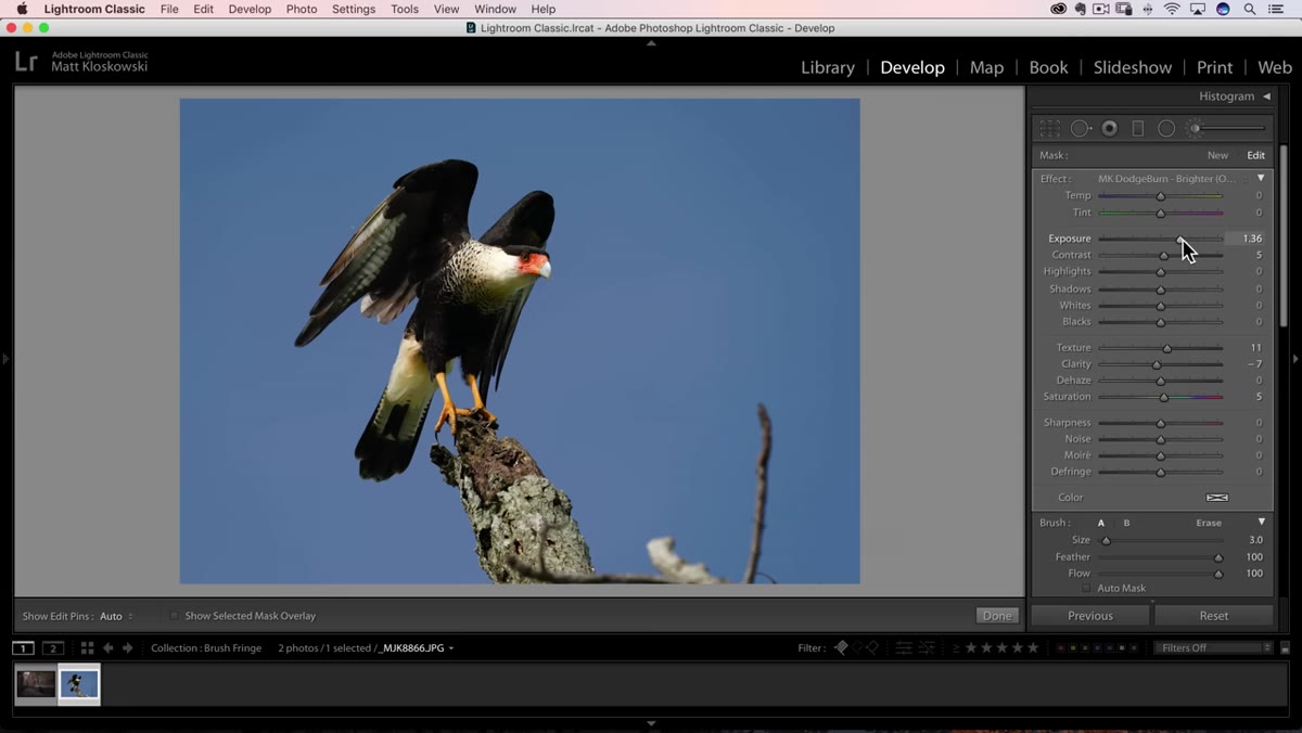 Adjustment sliders showing exposure and shadow values increased
