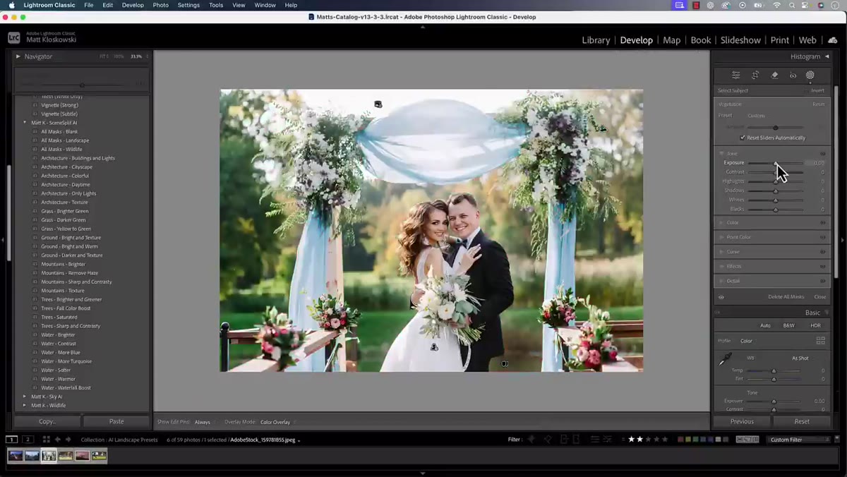 Brightness and saturation sliders adjusted on vegetation mask only